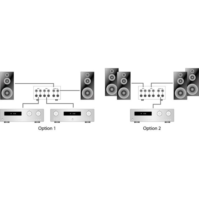 Forsterker- og høyttalerswitch Dynavox AMP-S MKII
