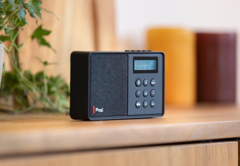 Pinell Supersound Micro - Oppladbar radio med FM/DAB+