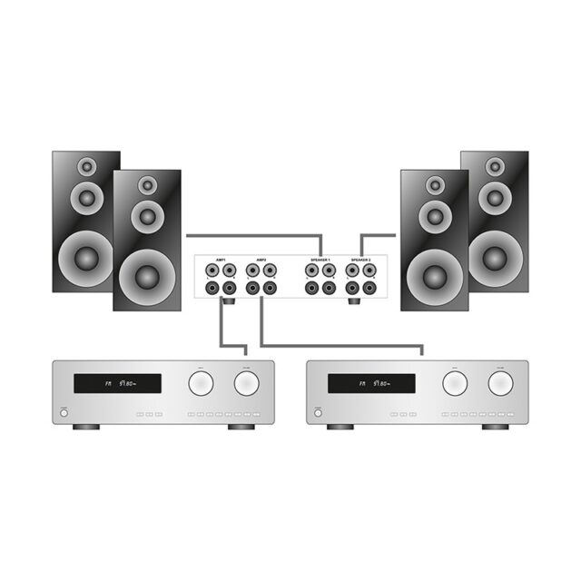 Forsterker- og høyttalerswitch Dynavox AMP-S Pro